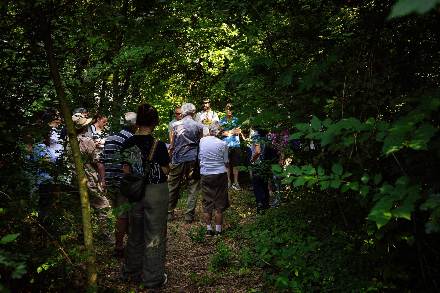 esplorando il verde urbano bosco tanari