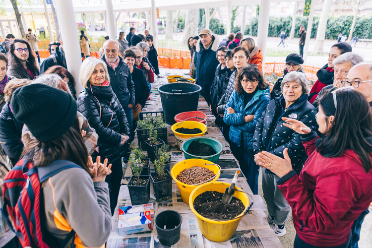 il verde in centro storico 5